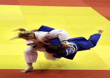 Jiu-Jitsu-Kampfkunst-Wettbewerbs-und Trainings-Judo-Matten Bjj bunte mit hoher Dichte